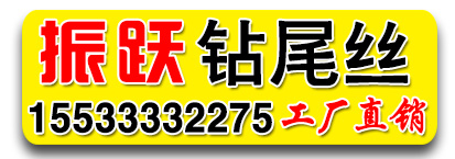 振跃不锈钢钻尾丝 