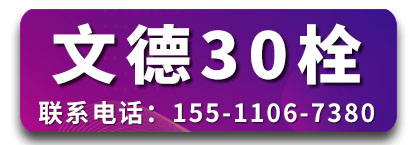 文德特大30栓 本色螺栓 