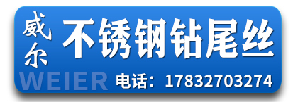 威尔不锈钢钻尾丝  钻尾螺丝 