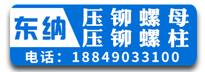 河北东纳压铆紧固件