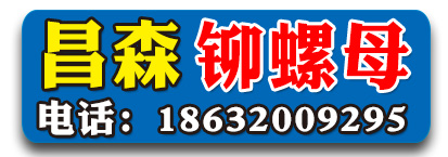 昌森铆螺母