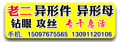 老二异形件 异形母