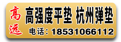 高远高强度平垫 杭州弹垫