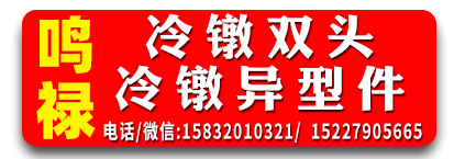 鸣禄冷镦双头 冷镦异型件