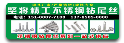 坚将精工不锈钢钻尾丝