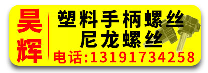 昊辉塑料手柄螺丝   尼龙螺丝   