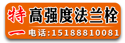 特一高强度法兰栓  