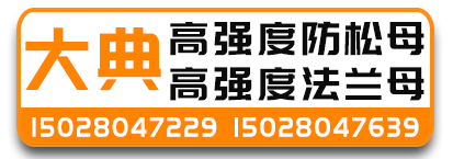 大典高强度防松母 法兰母