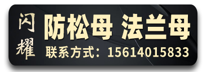 闪耀防松母法兰母一体盖母