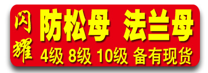 闪耀防松母法兰母一体盖母