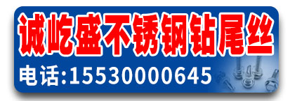 诚屹盛不锈钢钻尾丝