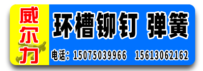威尔力环槽铆钉 弹簧
